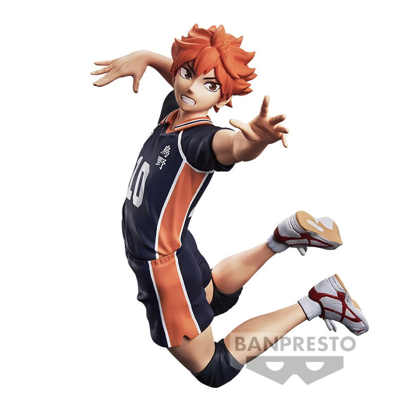 Shoyo Hinata